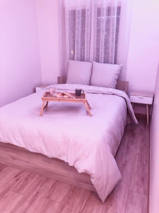 Superbe Appartement Tout Equipe, Le Nid D'Eva A Metz Gare, Parking Prive, Balcon, F2, 50M2, 3P Exterior photo